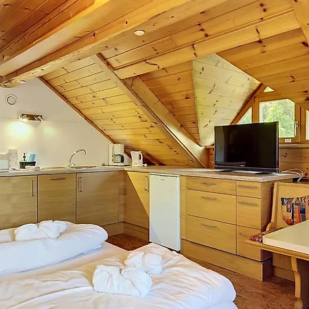 Katschberg 20 By Interhome
